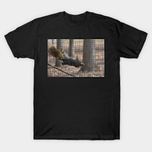 Climbing Squirrel T-Shirt